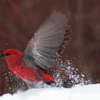 1920 x 1080 HD Wallpapers 3382